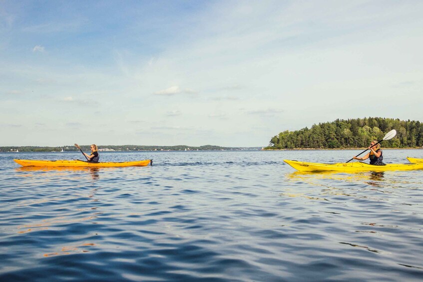 Picture 5 for Activity Stockholm: Archipelago Islands Kayak Tour and Outdoor Picnic