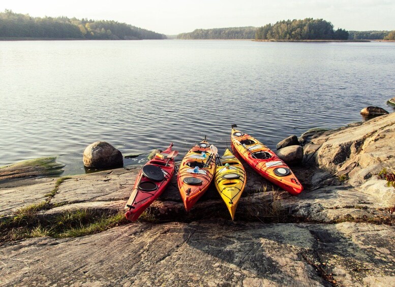 Picture 11 for Activity Stockholm: Archipelago Islands Kayak Tour and Outdoor Picnic