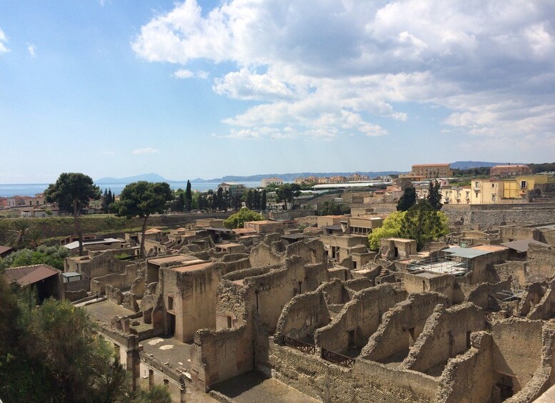 Picture 3 for Activity Pompeii & Herculaneum Private Skip-the-Line Tour with Ticket