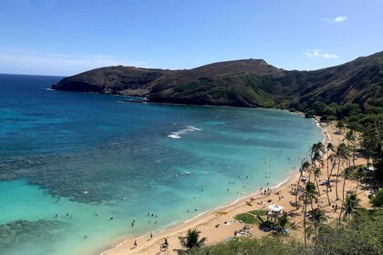 Oahu: Beauty and the Feast Circle Island Experience - en øyopplevelse i skj...