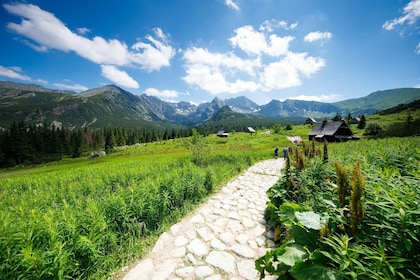 Zakopane: Tur Sehari Penuh Pegunungan Tatra dari Krakow