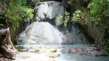 Oslob Whale Shark & Aguinid Falls with Lunch