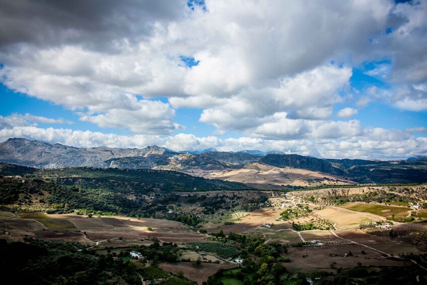 Picture 3 for Activity One Day Trip Ronda From Málaga