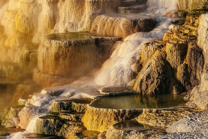 Jackson: Excursión de 2 días al Parque Nacional de Yellowstone con almuerzo...