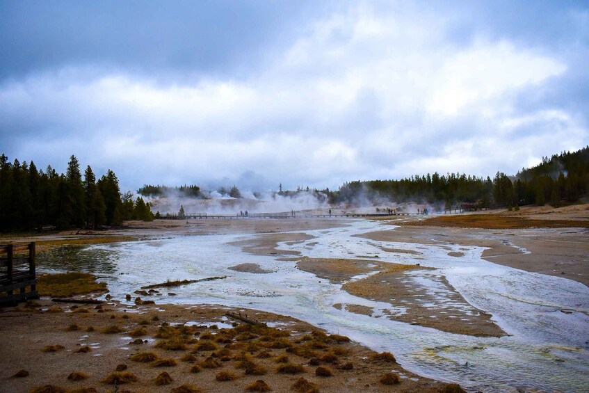 Picture 5 for Activity Jackson: 2-Day Yellowstone National Park Tour with Lunches