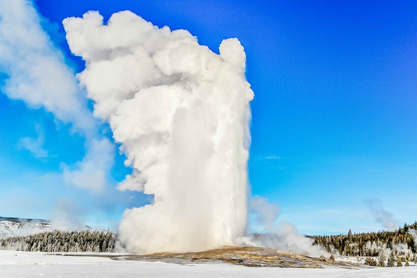 Picture 4 for Activity Jackson: 2-Day Yellowstone National Park Tour with Lunches