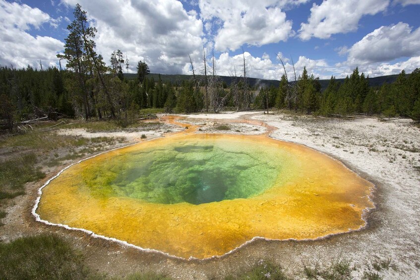 Picture 2 for Activity Jackson: 2-Day Yellowstone National Park Tour with Lunches