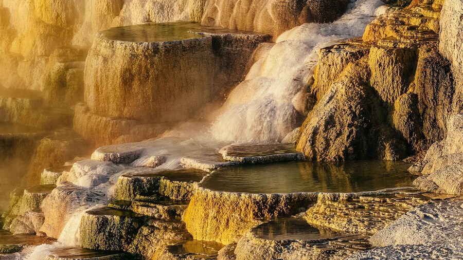 Jackson: 2-Day Yellowstone National Park Tour with Lunches