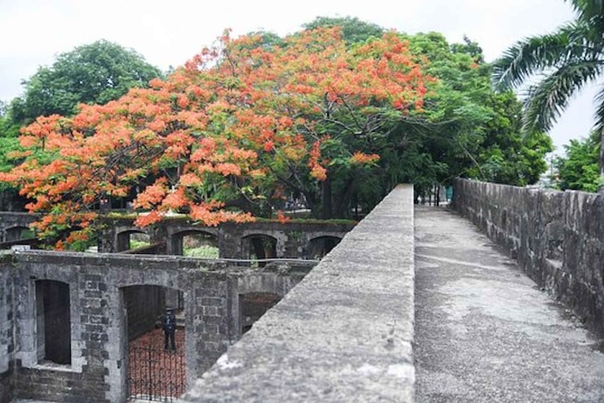 Picture 16 for Activity Manila: Filipino Historic Walking Tour in Intramuros