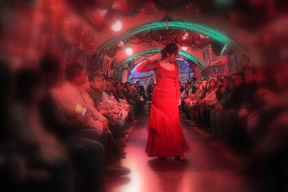 Granada: Flamenco-show i Sacromonte-hulerne