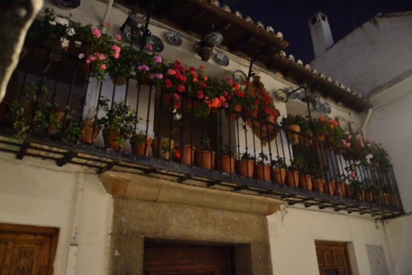 Picture 4 for Activity Granada: Sacromonte Caves Flamenco Show