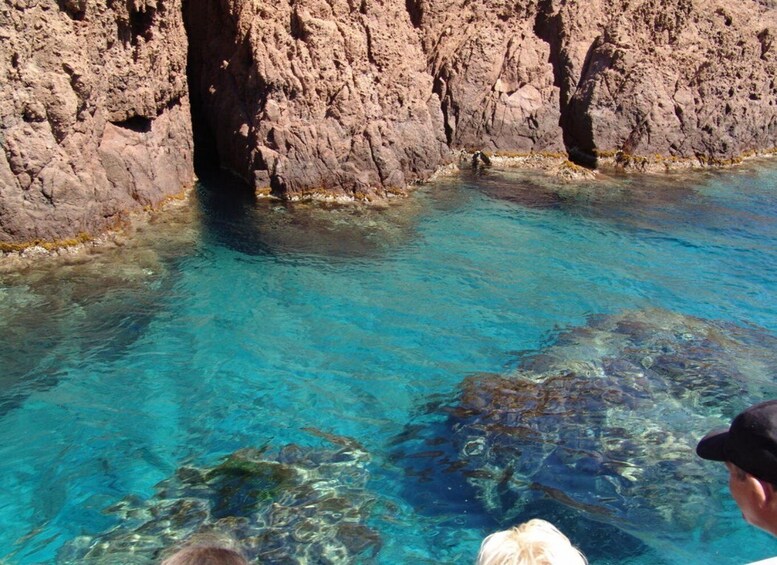 Picture 3 for Activity Cargèse:Scandola/Piana/Stop in Girolata Half-Day on RIB boat