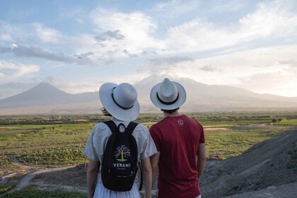 Private Tour: Khor Virap, Areni Cave, & Tatev Monastery