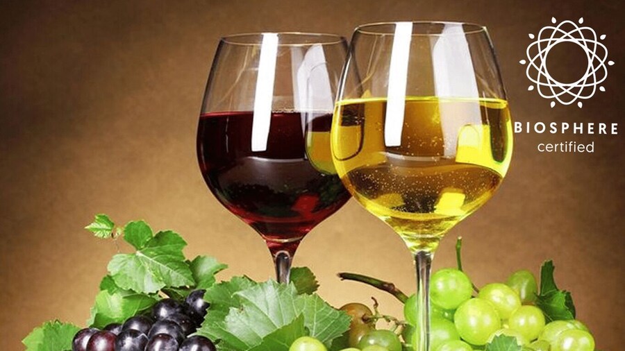 Madeira: Wine Tasting Experience Honey Museum and Cabo Girão