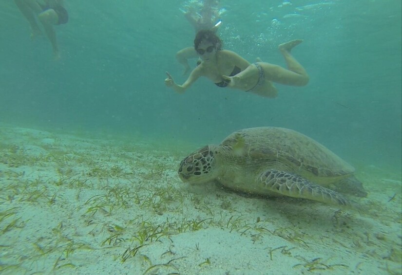 Picture 1 for Activity From Puerto Princesa: Port Barton Island Hopping Day Trip