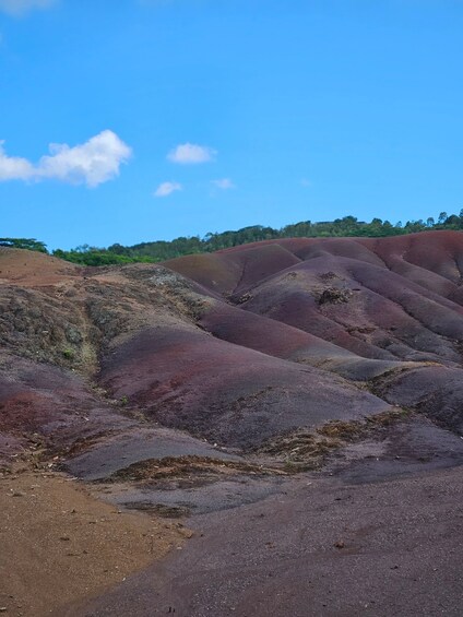 Picture 6 for Activity Mauritius: Private Southwest Coast Highlights Tour