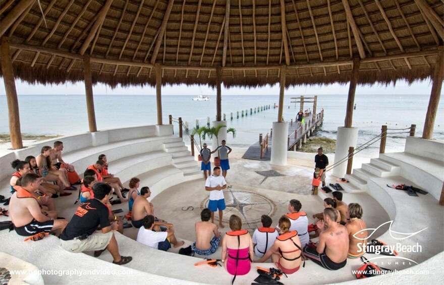 Picture 14 for Activity Cozumel: Snorkel and Swim with Stingrays