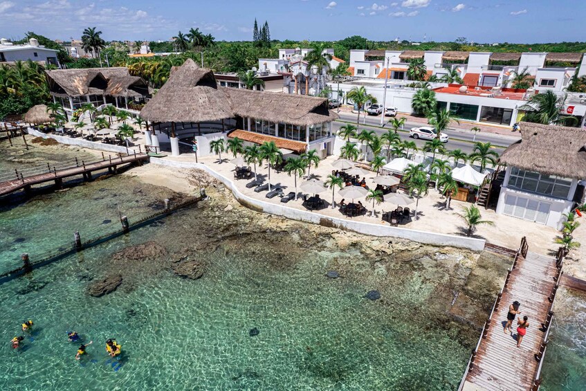 Picture 1 for Activity Cozumel: Snorkel and Swim with Stingrays