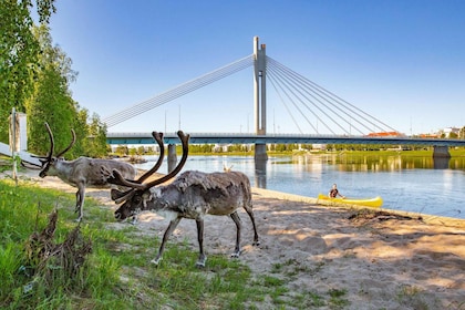 Rovaniemi: Cultural Canoe Trip