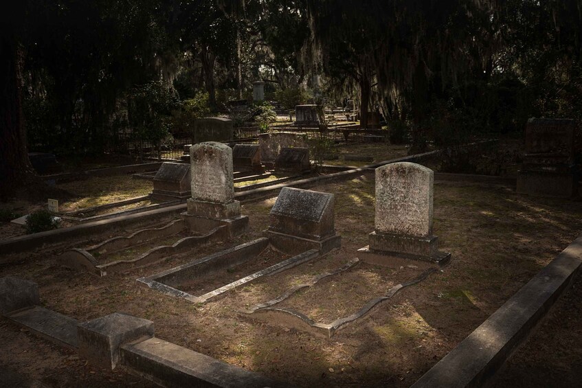 Picture 3 for Activity Savannah: Bonaventure Cemetery After-Hours Tour