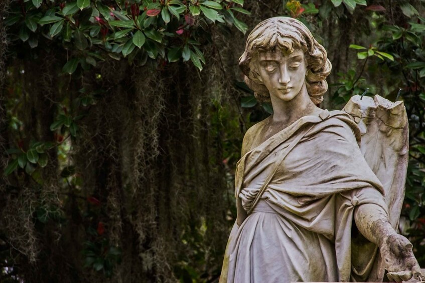 Picture 2 for Activity Savannah: Bonaventure Cemetery After-Hours Tour