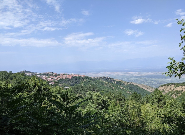 Picture 1 for Activity Kakheti: Wine tour from Tbilisi - Enjoy 6 sorts of wine