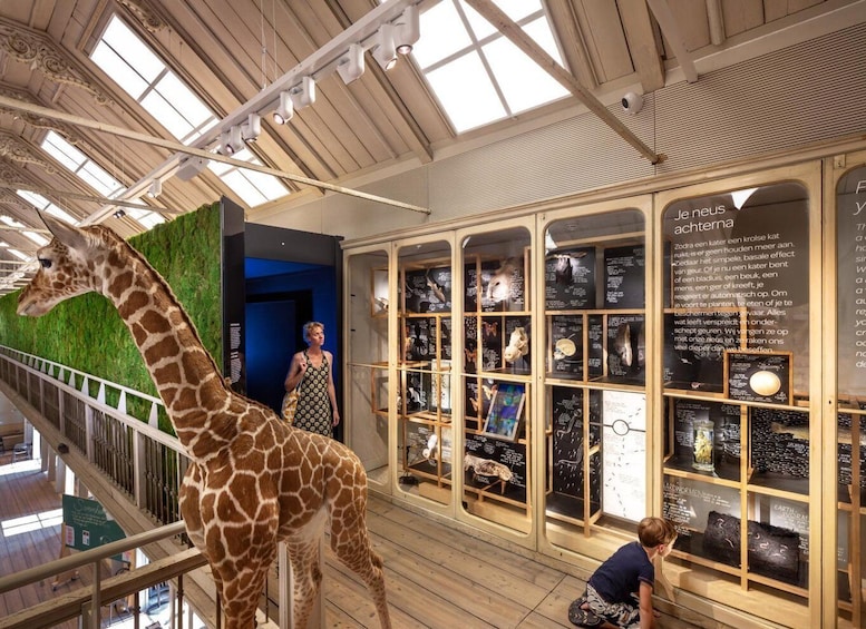 Picture 9 for Activity Amsterdam: ARTIS-Groote Museum Entry Ticket