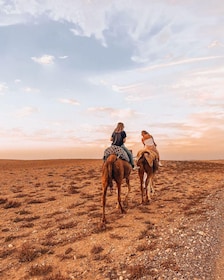 Agafay Desert Escape: Sunset Dinner & Quad/Camel Ride