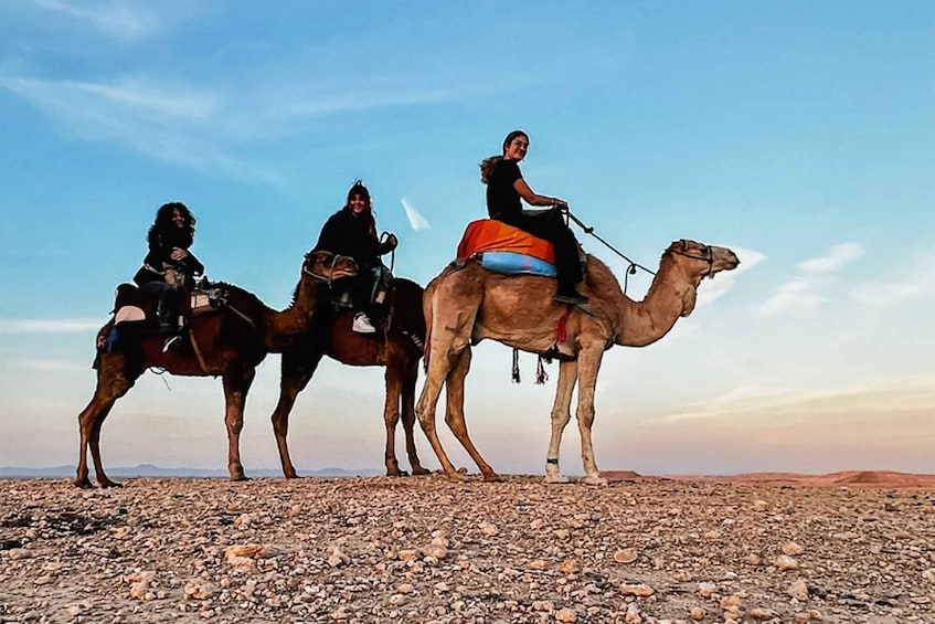 Picture 3 for Activity Marrakech: Agafay Desert Dinner Show with Camel Ride or Quad
