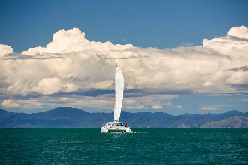 Picture 2 for Activity Abel Tasman National Park: Sailing and Self-Guided Walk