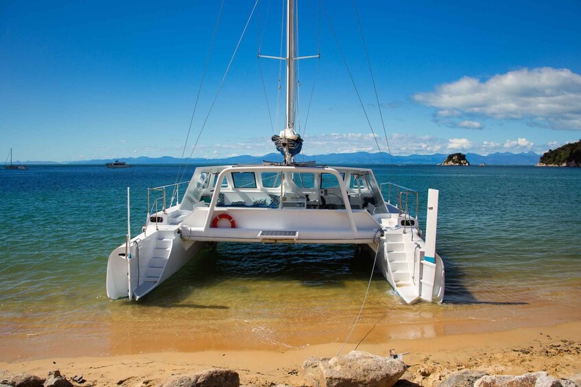 Picture 3 for Activity Abel Tasman National Park: Sailing and Self-Guided Walk
