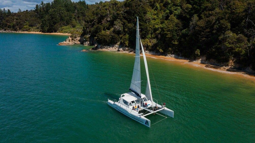 Picture 10 for Activity Abel Tasman National Park: Sailing and Self-Guided Walk