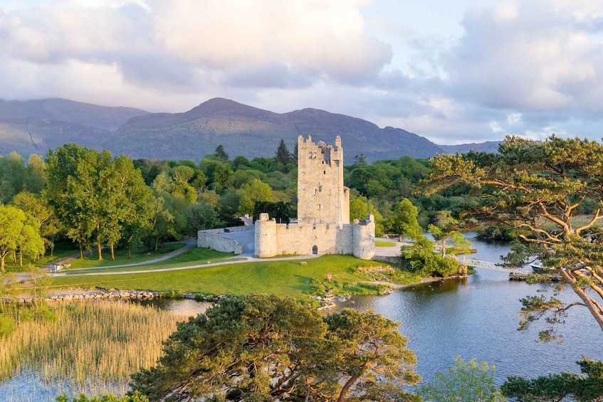 Picture 10 for Activity Lakes of Killarney: Boat Cruise