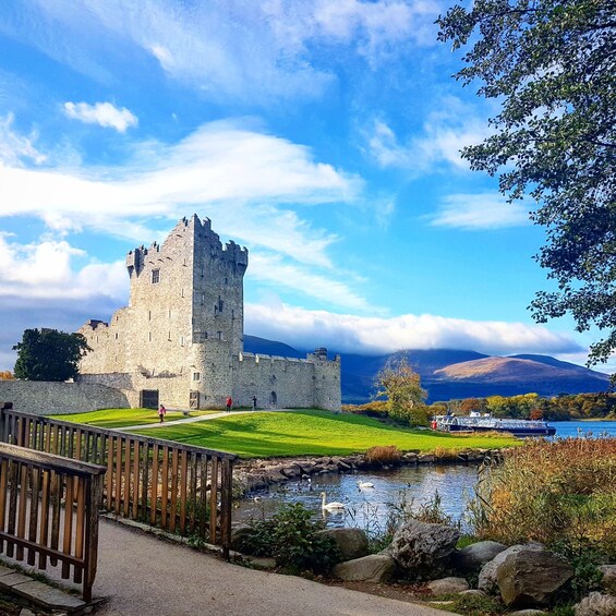 Picture 7 for Activity Lakes of Killarney: Boat Cruise