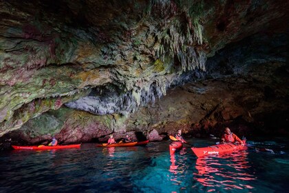 Kardamyli : Kayak de mer avec déjeuner