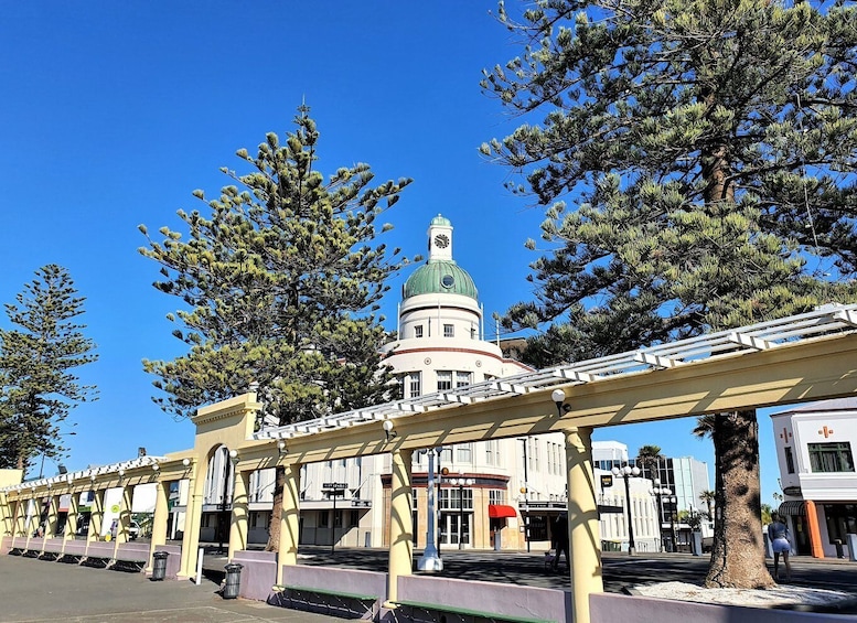 Picture 1 for Activity Napier: Private Sightseeing Tour + Wine Tasting