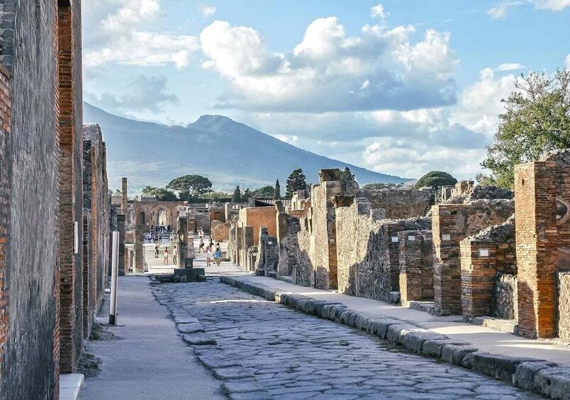 Picture 6 for Activity From Amalfi: Pompeii and Mount Vesuvius Private Day Trip