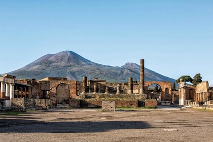 Från Amalfi: Pompeji och Vesuvius - privat dagsutflykt