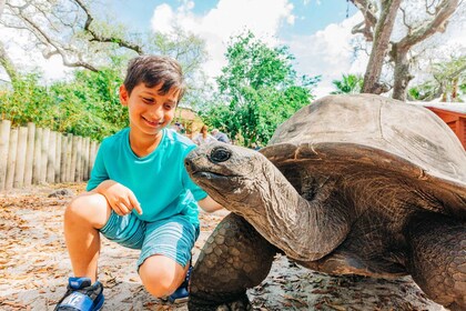 Tampa: ZooQuarium- ZooTampa & Florida Aquarium Combo-billett