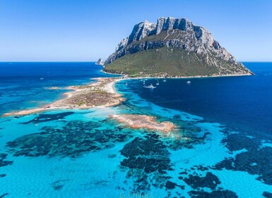 Sardegna : Tavolara Excursion en bateau avec plongée en apnée