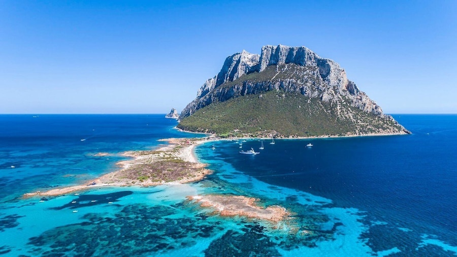 Sardegna: Tavolara Boat Tour with Snorkeling