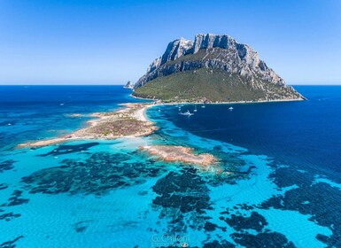 Sardaigne : Excursion en bateau à Tavolara avec plongée en apnée