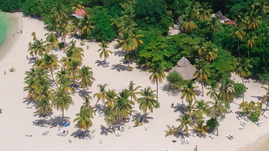 Samana: Cayo Levantado Day Trip by Boat