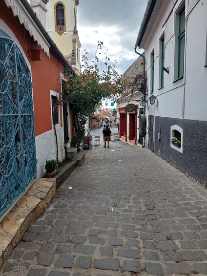 Picture 12 for Activity Szentendre: Half-Day Private Tour from Budapest