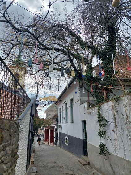 Picture 2 for Activity Szentendre: Half-Day Private Tour from Budapest