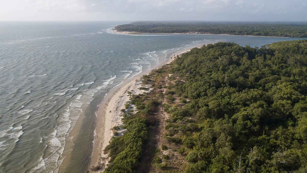 Picture 3 for Activity From Belem: Guided Day Trip to Marajo Island and Soure