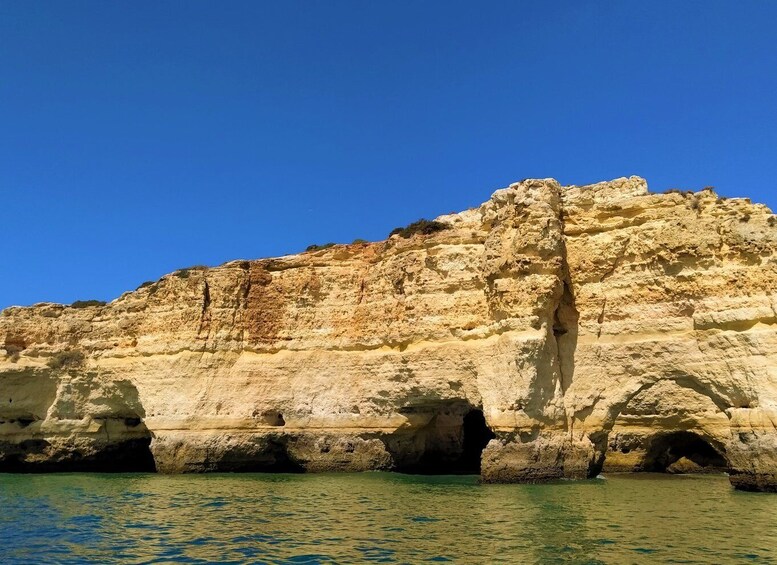 Picture 14 for Activity From Vilamoura: 2.5-Hour Benagil Cave and Dolphins Boat Tour