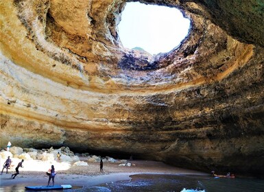 From Vilamoura: 2.5-Hour Benagil Cave and Dolphins Boat Tour