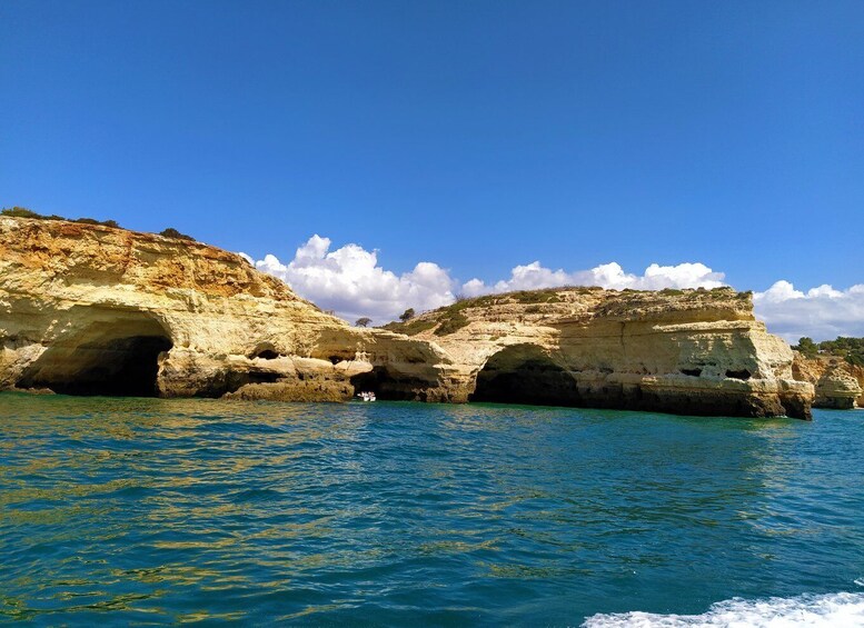 Picture 10 for Activity From Vilamoura: 2.5-Hour Benagil Cave and Dolphins Boat Tour