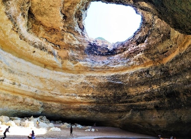 Desde Vilamoura: Excursión en barco de 2,5 horas por la cueva de Benagil y ...